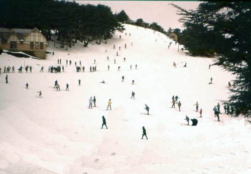 Chréa station de ski.jpg