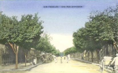 Fichier:Aïn-Tédélès rue principale.jpg