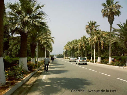 Fichier:Cherchell Avenue de la Mer.jpg