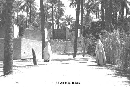 Fichier:Ghardaïa -Oasis.jpg