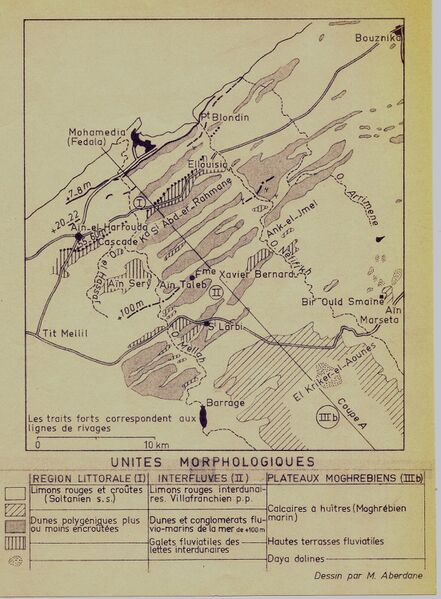 Fichier:Oued mellah 1966 carte unités morphologique.jpg