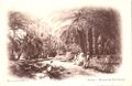 Biskra - Chemin de Sidi Barkat - 1905