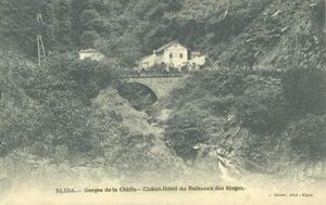 La Chiffa Chalet-Hôtel Ruisseau des Singes.jpg