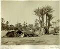 Biskra - Tente de bedoins - 1880