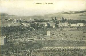 Tébessa vue générale.jpg