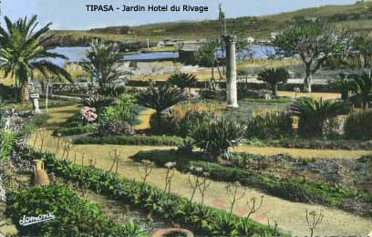 Fichier:Tipasa Jardin Hotel du Rivage.jpg