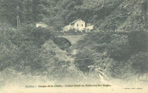 Fichier:La Chiffa Chalet-Hôtel Ruisseau des Singes.jpg