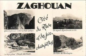 Zaghouan souvenir.jpg