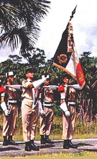 Le drapeau du régiment