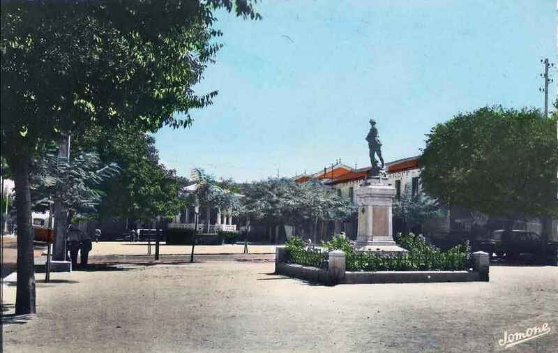 Fichier:Staoueli mam.jpg