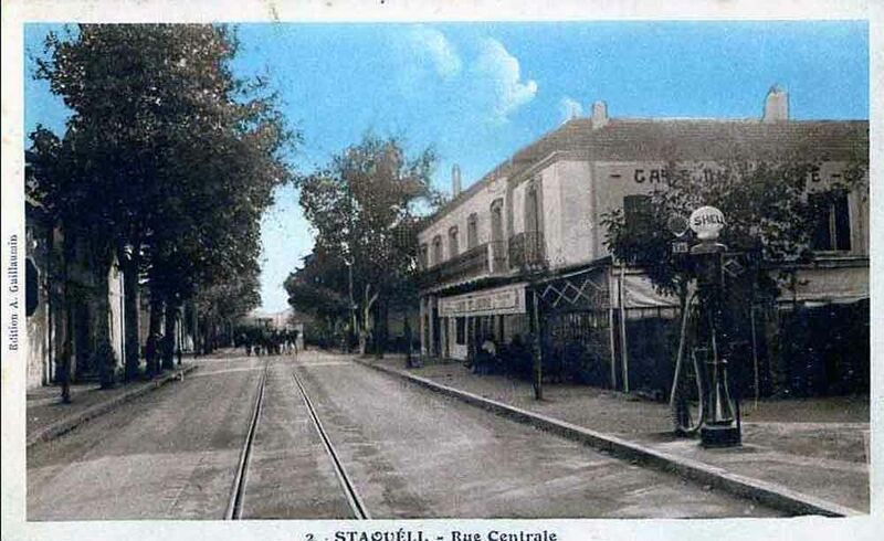 Fichier:Staoueli shell.jpg