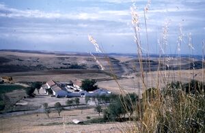 Cimenterie-tiaret.jpg