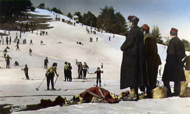 Fichier:Chrea neige.jpg