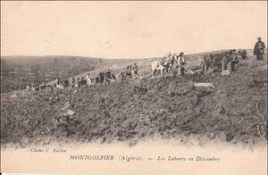 Montgolfier labours.jpg