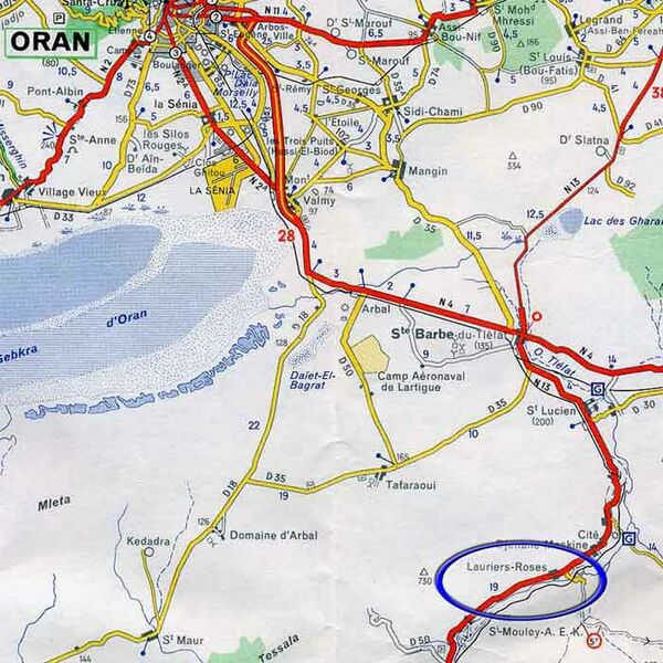 Fichier:Lauriers roses.jpg