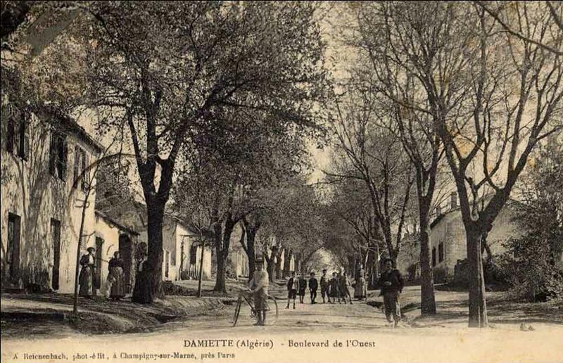 Fichier:Damiette ouest.jpg