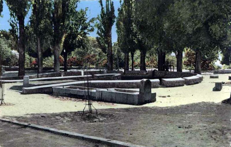 Fichier:Aflou jardin.jpg