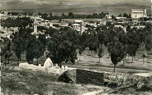 Montgolfier gene.jpg