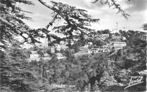 Chréa vue.jpg
