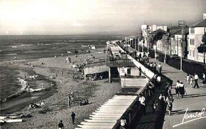 Cast plage bord 001.jpg