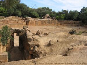 Tipasa Ruines les Arènes.jpg
