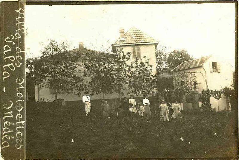 Fichier:MEDEA valla noisetiers.jpg