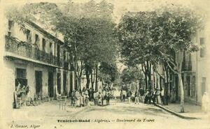 Teniet el Haad Bd Tiaret.jpg