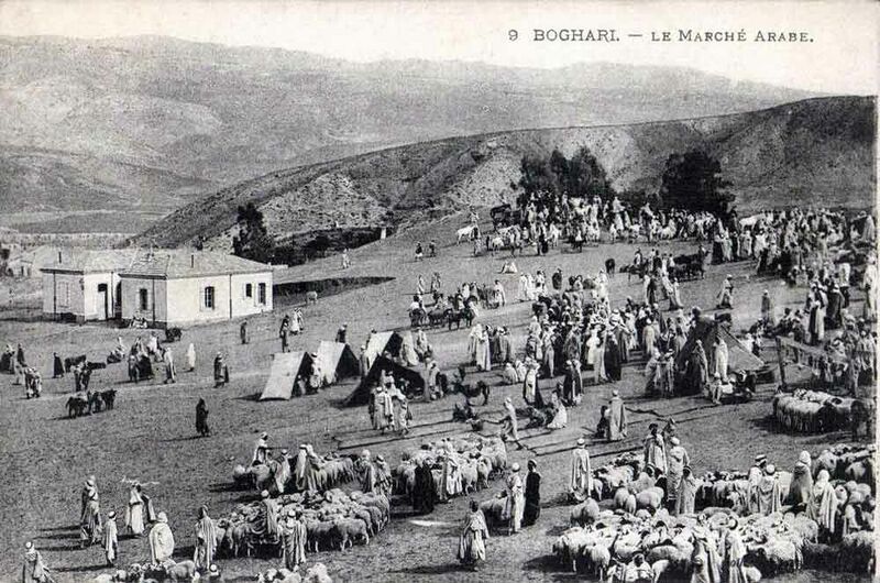 Fichier:Boghari marche.jpg