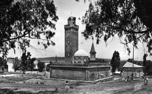 Montgolfier mosquee.jpg