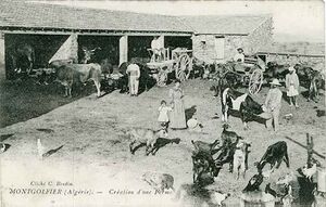 Montgolfier ferme.jpg