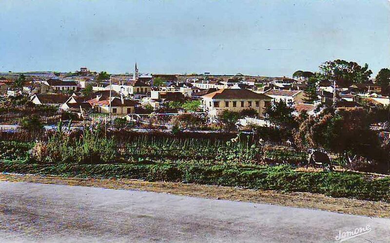 Fichier:Staoueli Vue.jpg