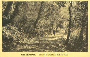 Aïn-Draham Chemin du Meridy Col des vents.jpg
