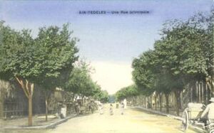 Aïn-Tédélès rue principale.jpg