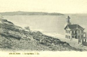 Aïn el Turk Cap Falcon.jpg