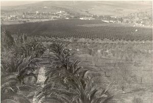 Vuegen PC 1962-1.jpg