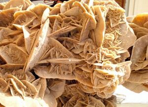 Ouargla Rose du désert.jpg