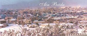 Ain Beida Neige.jpg