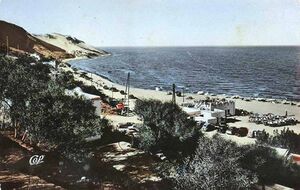 Gammarth ombrelles.jpg