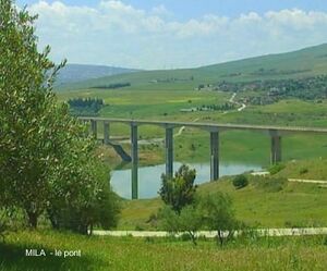 Mila pont.jpg