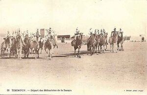 Timimoun meharistes.jpg