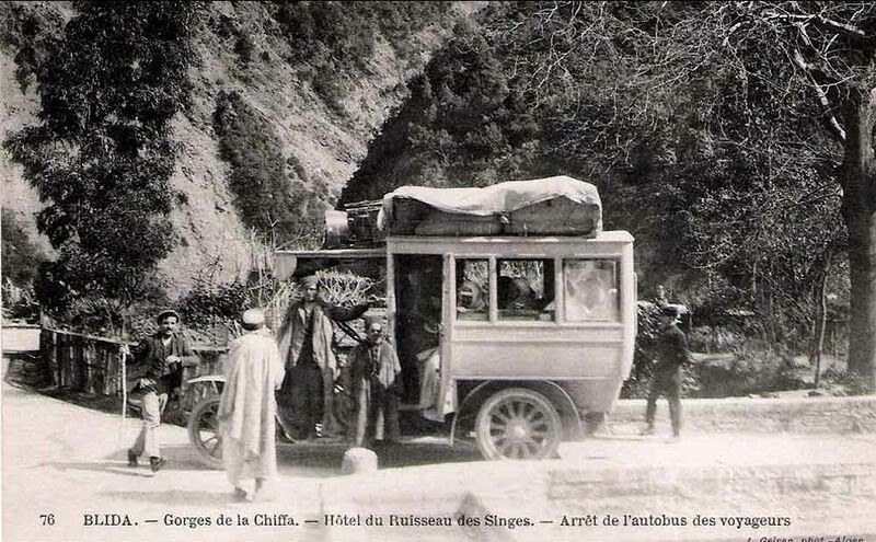 Fichier:Chiffa bus.jpg