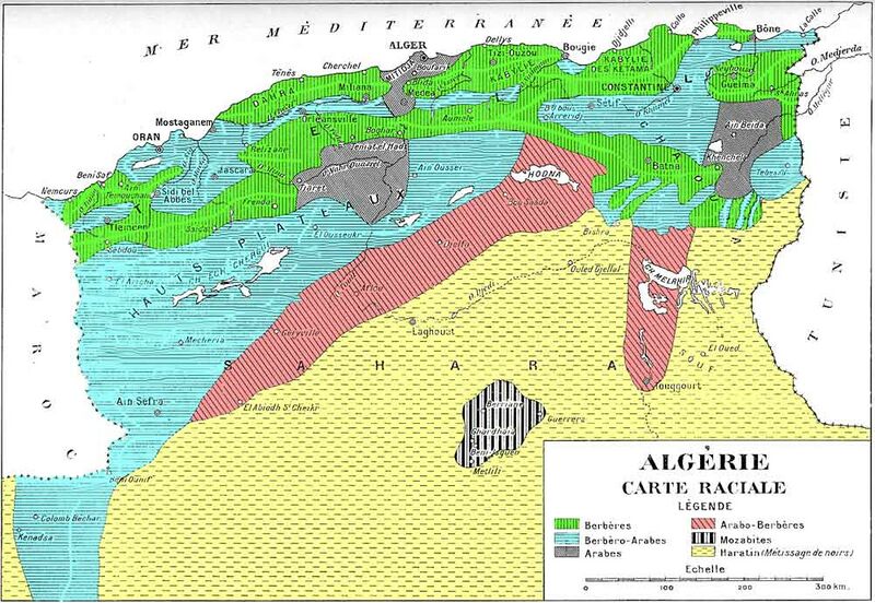 Fichier:Races Algérie.jpg