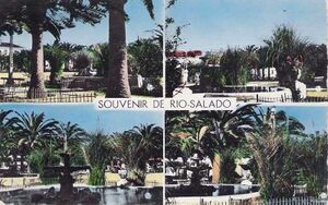 Souvenir rio salado.jpg