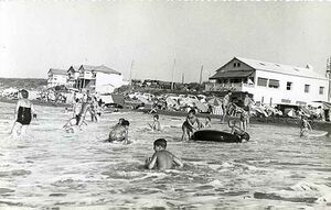 Douaouda floride.jpg