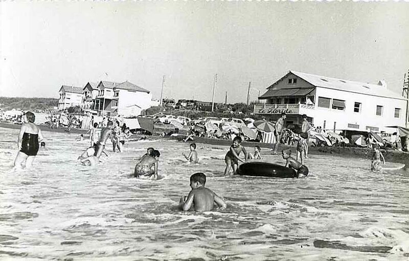 Fichier:Douaouda floride.jpg