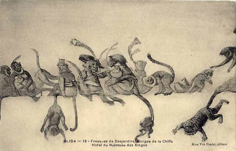 Fichier:Chiffa desjardins singes.jpg