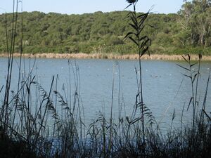 Lac Sidi Boughaba.jpg