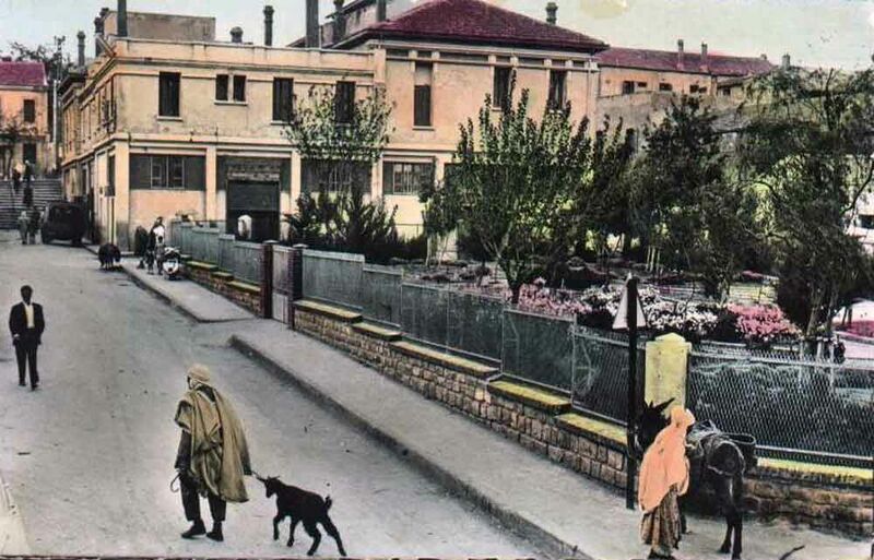 Fichier:Boghari marche jardin.jpg