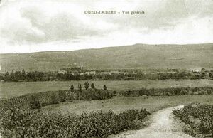 Oued imbert gene.jpg