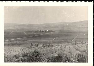 Saoudi -Vuegen1962-2.jpg